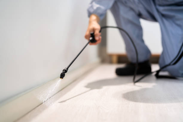 Rodent Entry Point Assessment in Prescott Valley