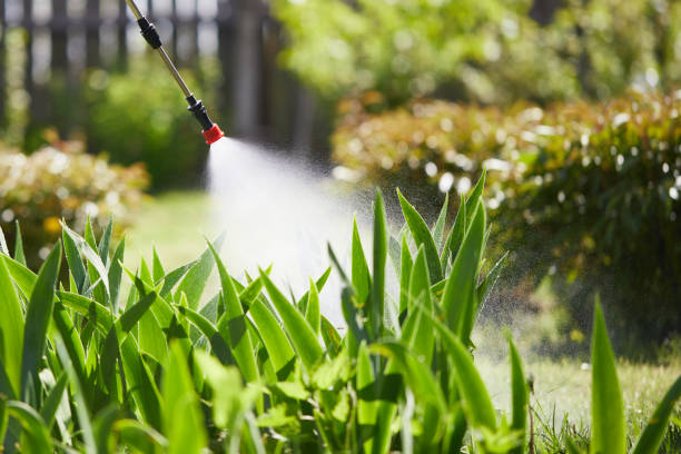 Tamper-Resistant Bait Stations for Rodents in Prescott Valley
